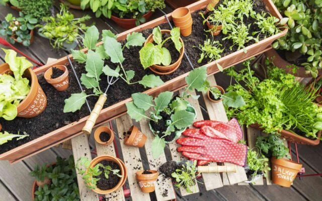 Ready for a garden that works with your schedule