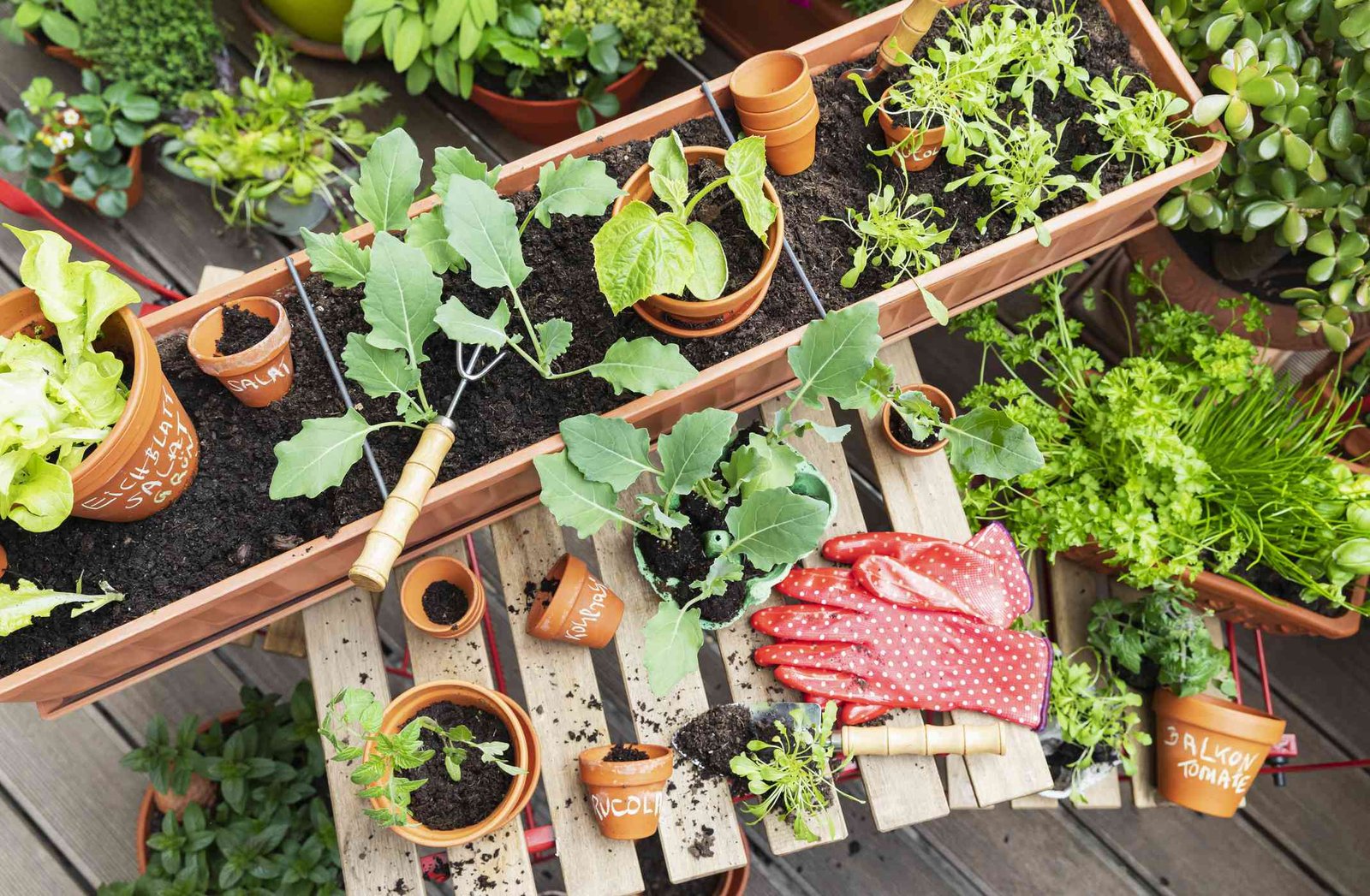 Ready for a garden that works with your schedule