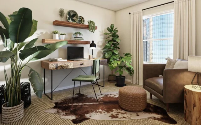 budget home decor ideas